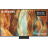 SAMSUNG GQ55QN70FAUXZG 55 inch (140 cm) Televisie